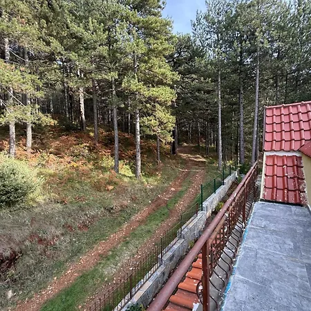 Streha Pishave Villa Elbasan
