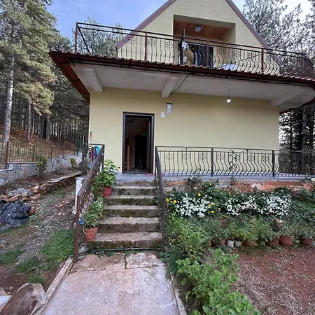 Streha Pishave Villa Elbasan