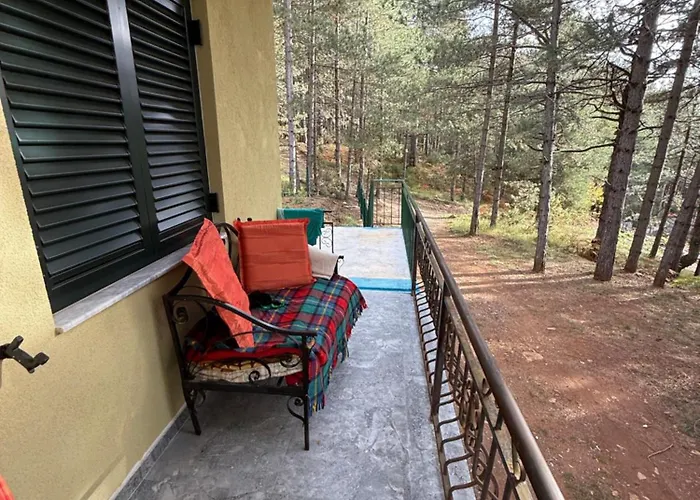 Streha Pishave Elbasan